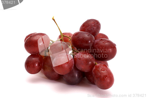 Image of bunch of grapes