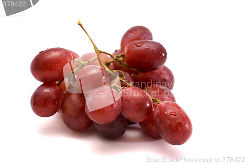 Image of bunch of grapes