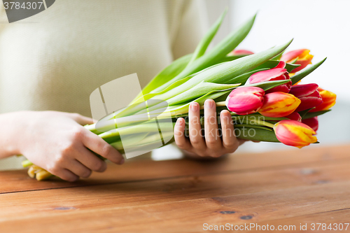 Image of close up of woman holding tulip flowers