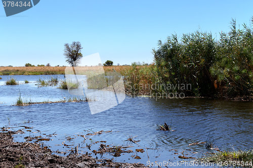 Image of African landscape with river