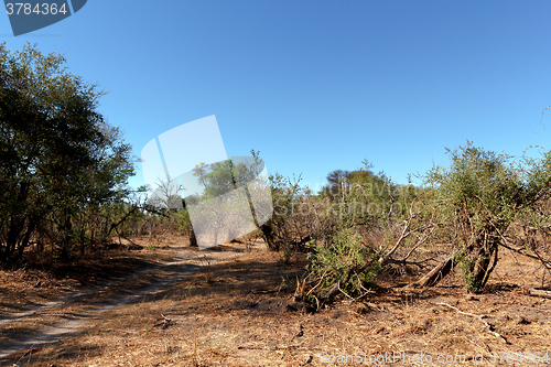 Image of African landscape