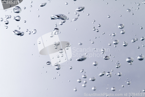 Image of Air bubbles in the water