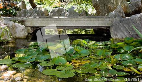 Image of Foot Bridge