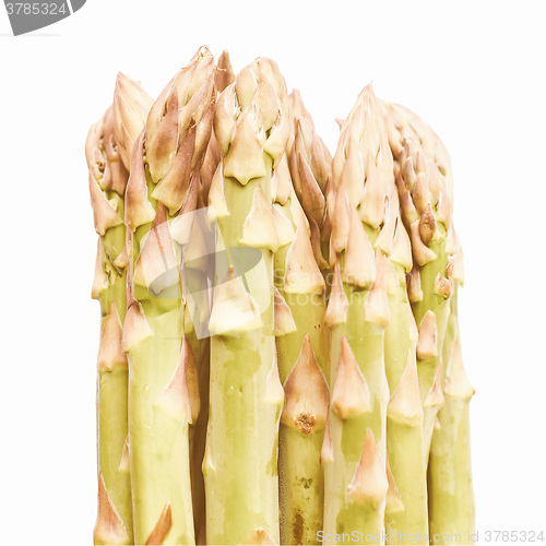 Image of Retro looking Asparagus vegetable isolated