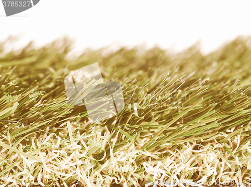 Image of  Artificial meadow vintage