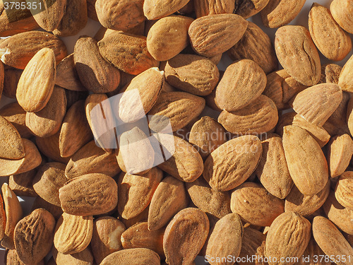 Image of Almonds dried fruit