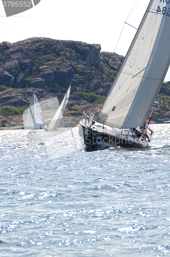 Image of one sail competition on swedish westcoast 