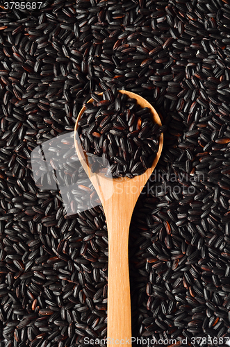 Image of Uncooked, organic Black Rice