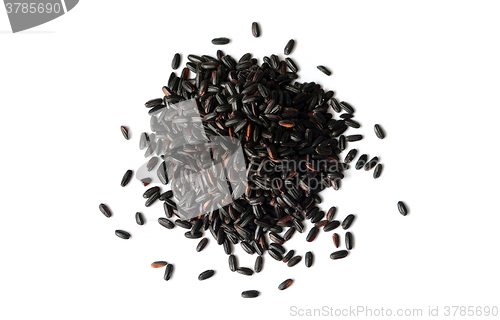 Image of Uncooked, organic Black Rice