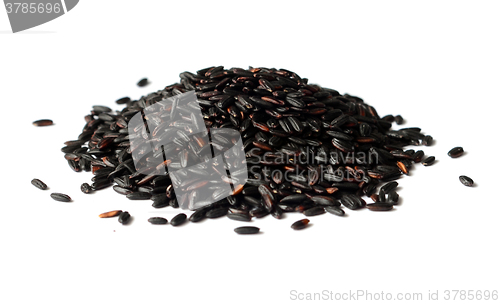 Image of Uncooked, organic Black Rice