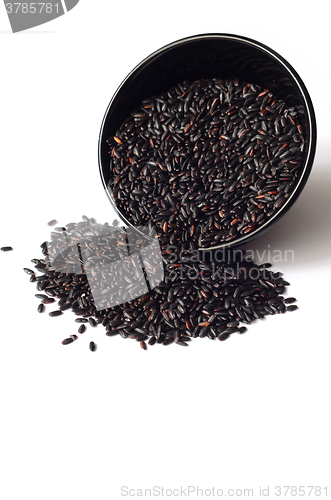 Image of Uncooked, organic Black Rice
