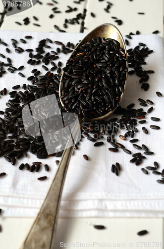 Image of Uncooked, organic Black Rice