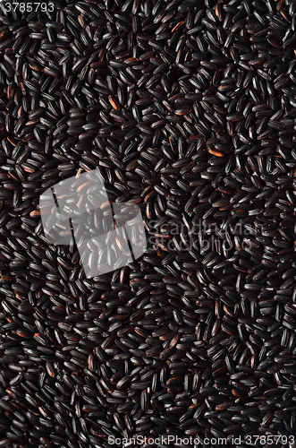 Image of Uncooked, organic Black Rice