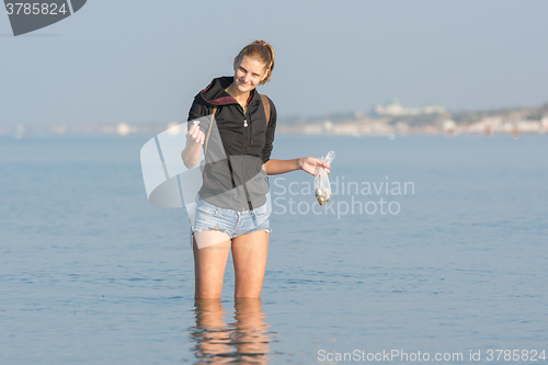 Image of She collects shells at the sea early in the morning