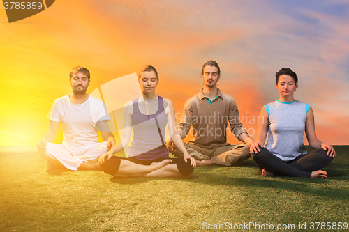 Image of The group of people doing yoga exercises 