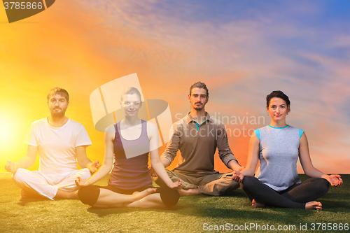 Image of The group of people doing yoga exercises 