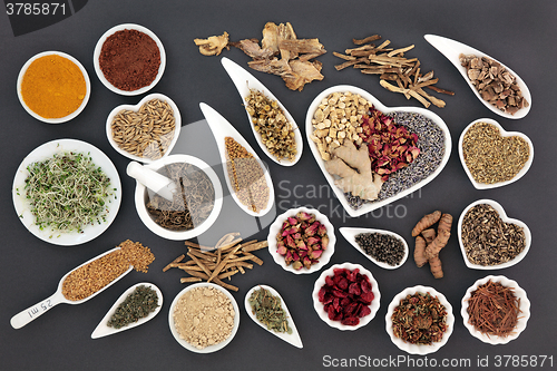 Image of Healing Herbs for Women