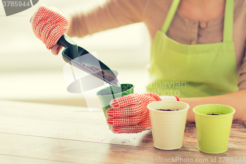 Image of close up of woman hands with trowel sowing seeds