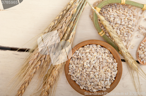 Image of organic barley grains