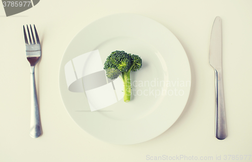 Image of close up of broccoli on plate