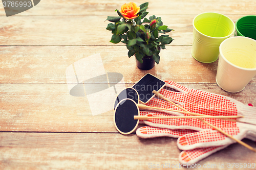 Image of close up of rose flower and garden tools on table