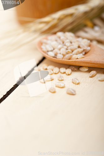 Image of organic barley grains