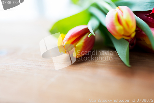 Image of close up of tulip flowers on wooden table