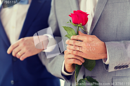 Image of close up of happy male gay couple holding hands