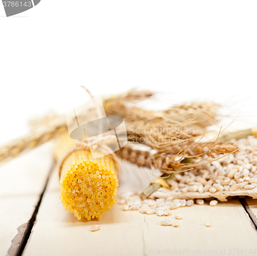 Image of organic Raw italian pasta and durum wheat 