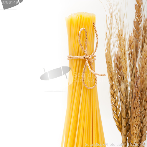 Image of organic Raw italian pasta and durum wheat 