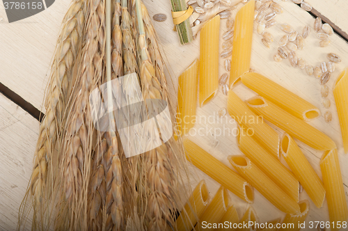 Image of Italian pasta penne with wheat