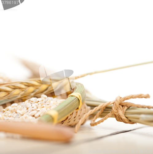 Image of organic barley grains