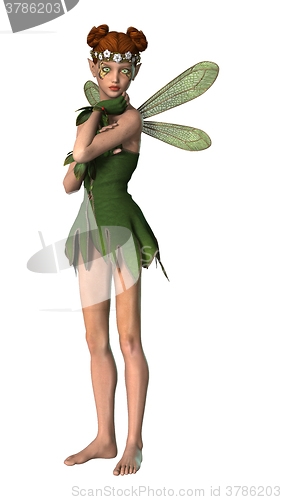 Image of Spring Fairy on White