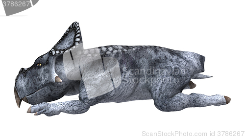 Image of Dinosaur Protoceratops on White