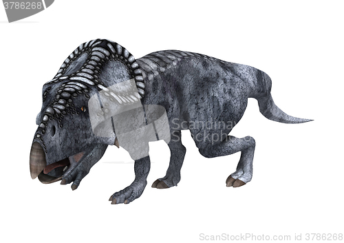 Image of Dinosaur Protoceratops on White