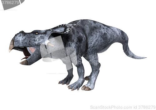 Image of Dinosaur Protoceratops on White