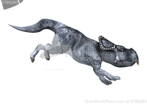 Image of Dinosaur Protoceratops on White