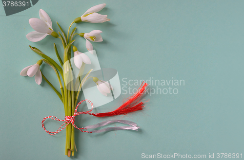 Image of Macro snowdrops bucket 