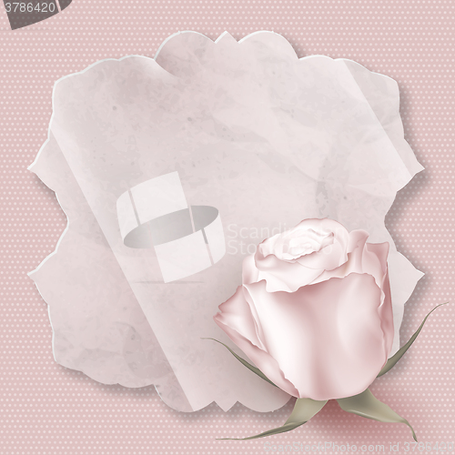 Image of Retro greeting card with pink rose. EPS 10