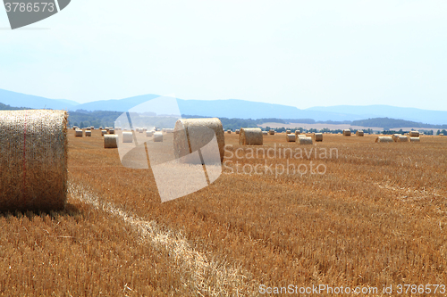 Image of czech autumn field
