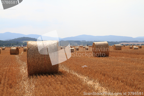 Image of czech autumn field