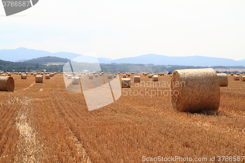 Image of czech autumn field