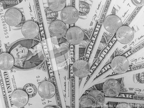 Image of Black and white Dollar coins and notes