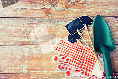 Image of close up of trowel, nameplates and garden gloves