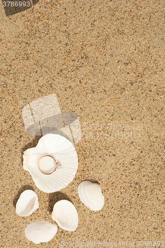 Image of Wedding ring in a shell