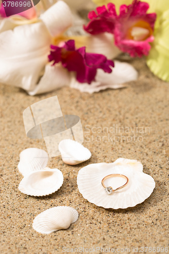 Image of Wedding ring in a shell