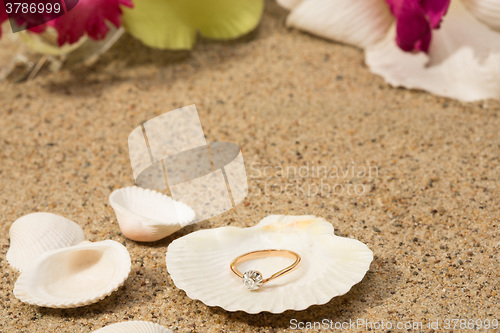 Image of Wedding ring in a shell
