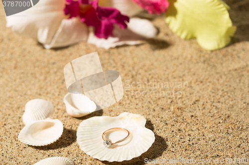 Image of Wedding ring in a shell