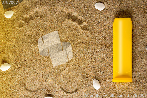 Image of Sea shells on sand. Summer beach background. 