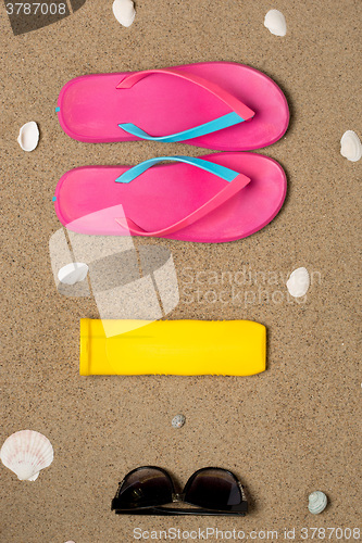 Image of Sea shells on sand. Summer beach background. 